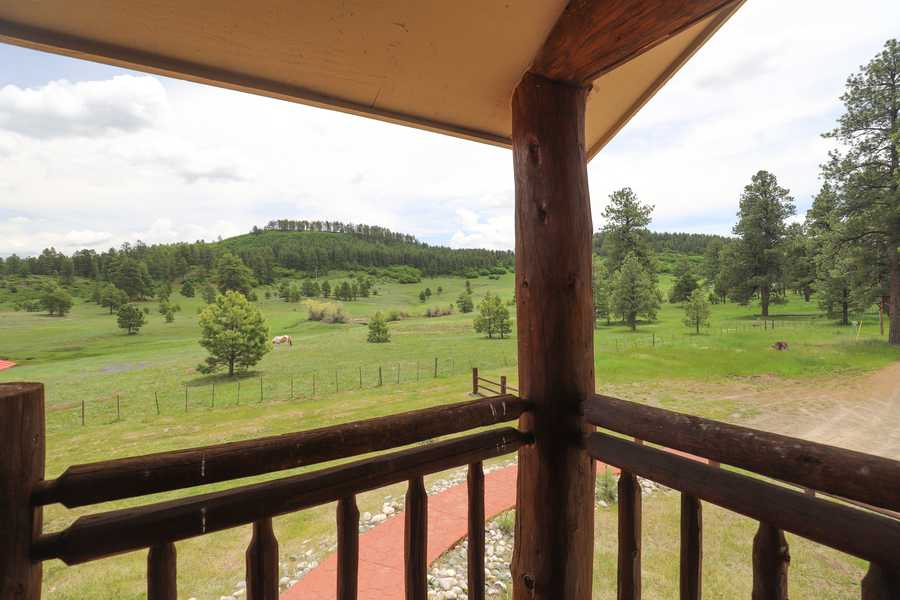 View from a private log balcony over the meadow, pines and a grazing paint horse
